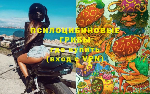 эйфоретик Абинск